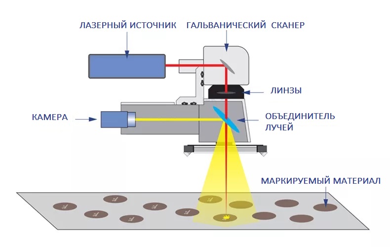 LiMark_DAVI_FLY_2.jpg